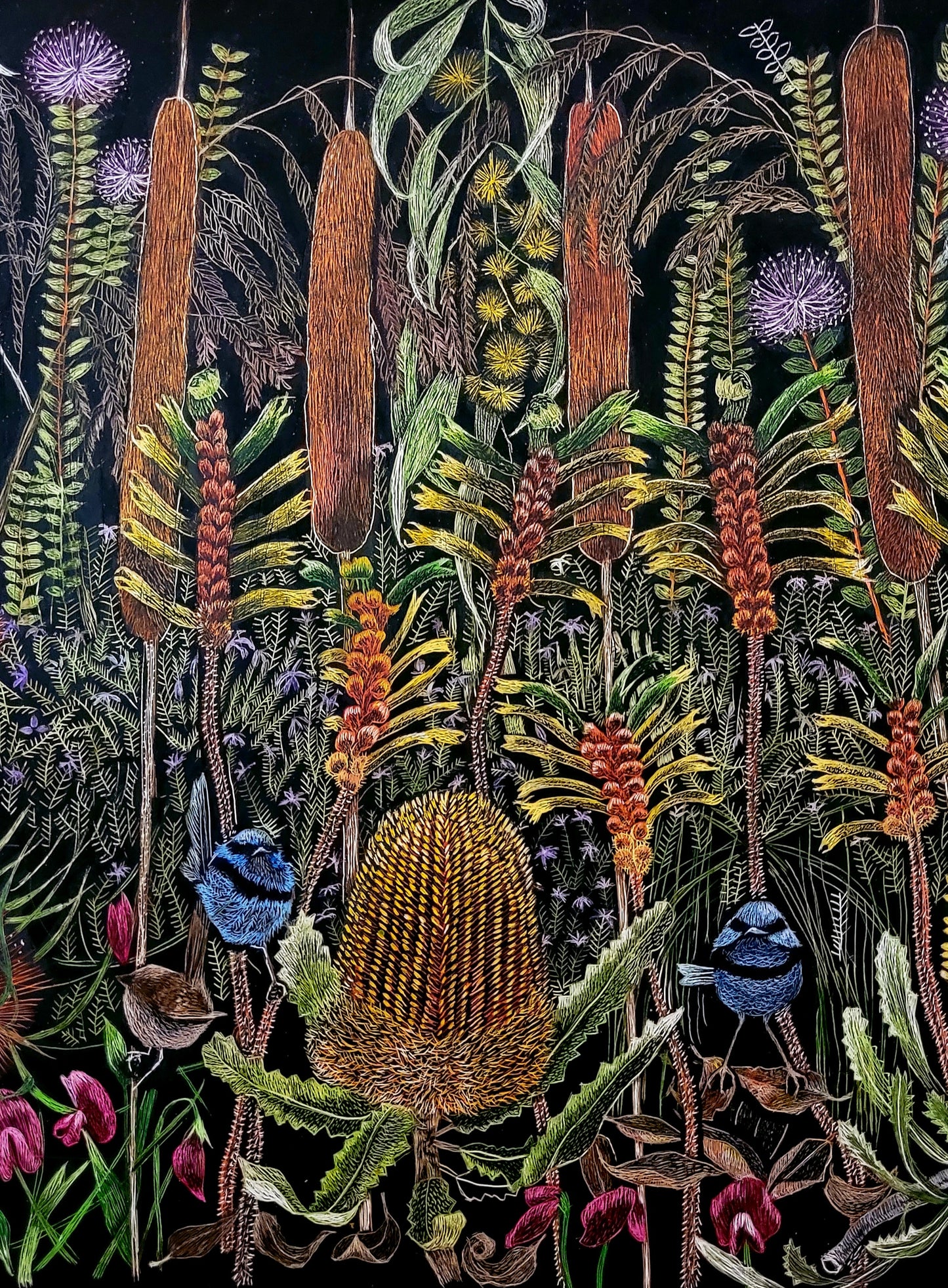 Original scratchboard 'Where the fairy wrens live'