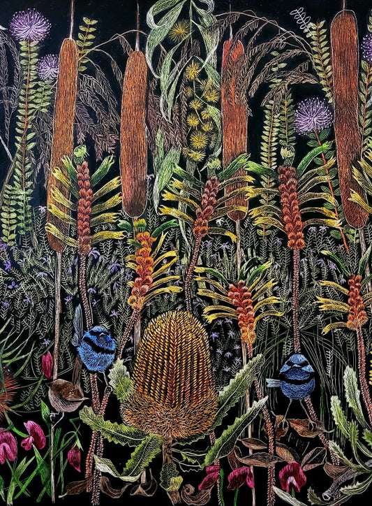 Original scratchboard 'Where the fairy wrens live'