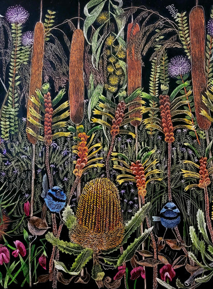 Original scratchboard 'Where the fairy wrens live'
