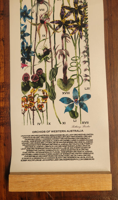 Orchids of Western Australia Botanical Series Canvas I (small)