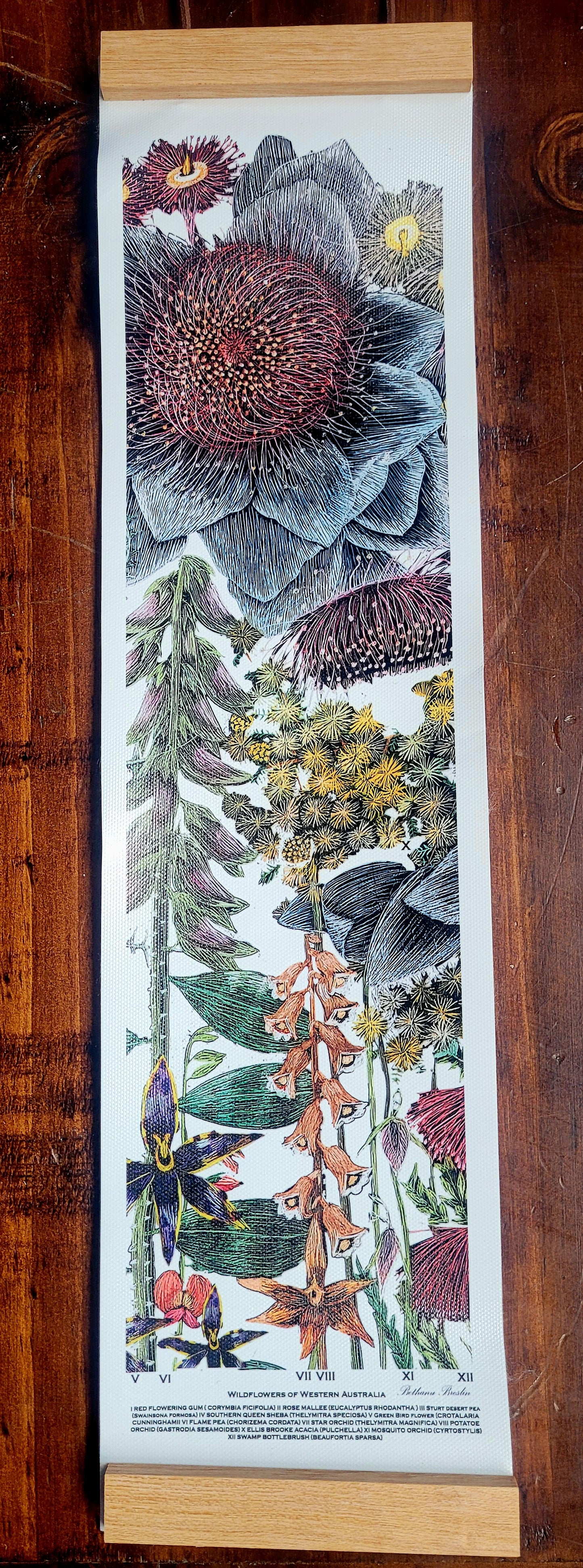 Wildflowers of Western Australian Botanical Series Canvas I (small)