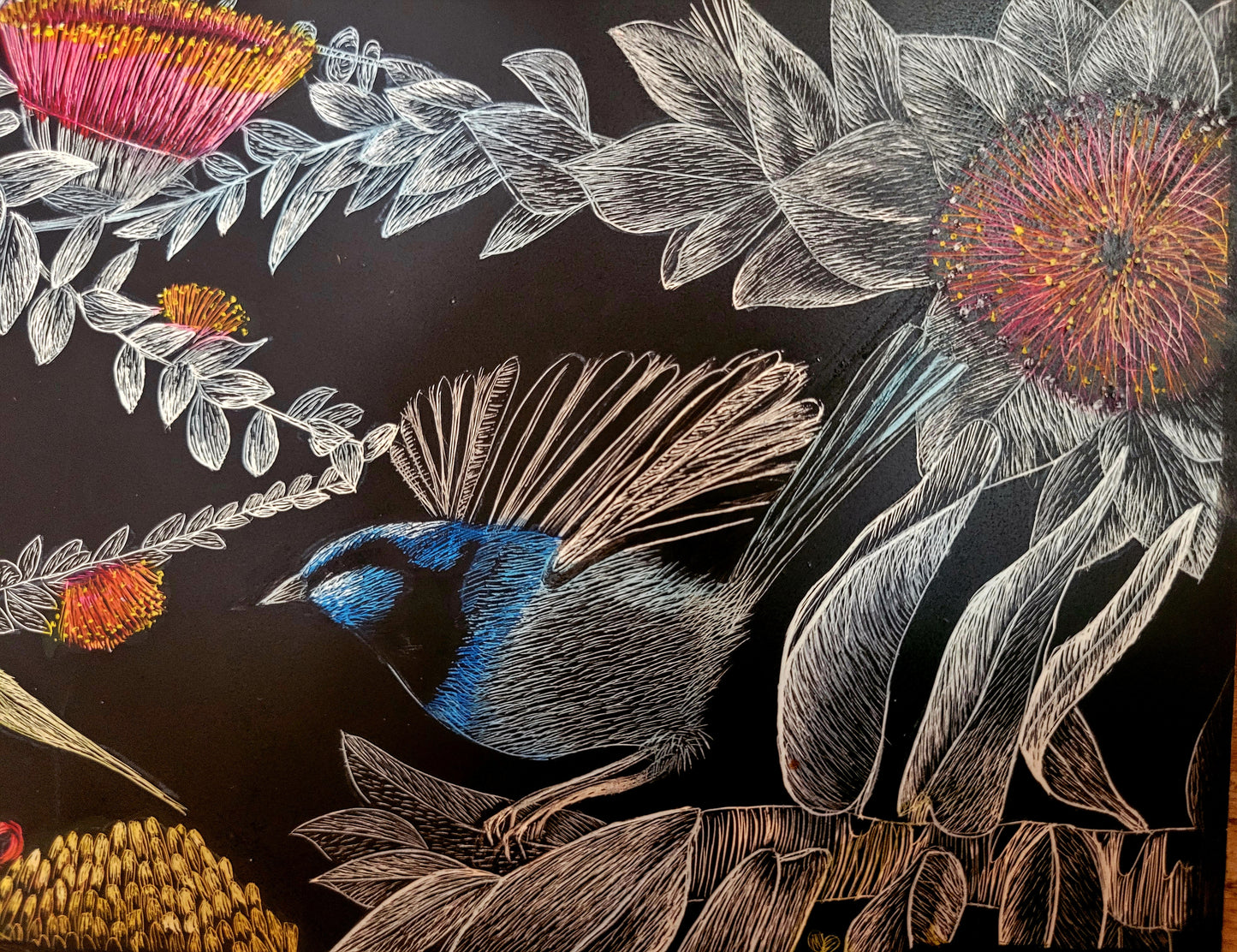 Paper Giclee print 'Western Australia Wildflower and Blue wren'