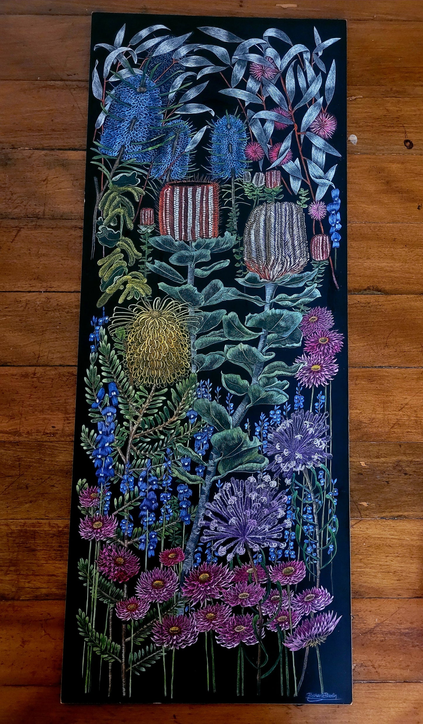 Original Scratchboard, ' Wildflowers of Southern Western Australia'