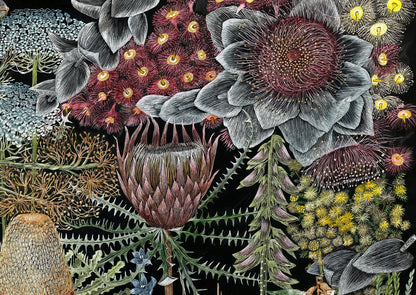 A3 Paper Giclee print 'Wildflowers of Western Australia'