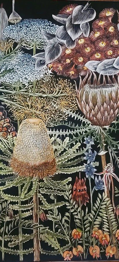 Original scratchboard Wildflowers of Western Australia botanical plate I